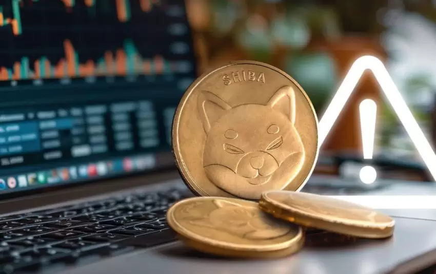 专家解读:加密货币投资中的心理风险与应对策略